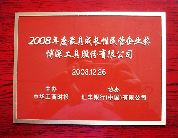 博深工具股份有限公司榮獲“最具成長(zhǎng)性民營(yíng)企業(yè)獎(jiǎng)”