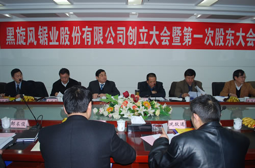 黑旋風(fēng)鋸業(yè)股份有限公司成立