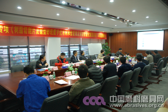 中機六院樹脂切割片及鈸型砂輪智能制造項目通過驗收
