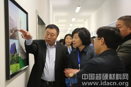 全國人大代表、省人大代表團視察新大新材集團工作