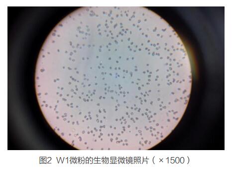 金剛石微粉的粒度質(zhì)量檢驗
