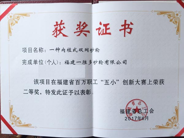 一勝多“內(nèi)植式雙網(wǎng)砂輪”項目獲福建創(chuàng)新大獎