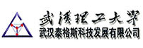 武漢泰格斯科技發(fā)展有限公司