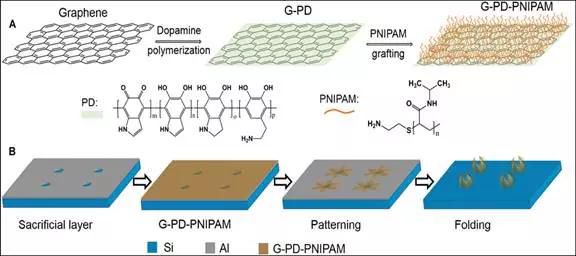 美國(guó)研制出超薄熱敏性自折疊3D石墨烯制備方法