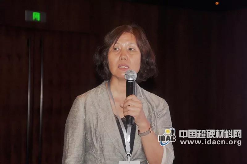 2019年超硬材料技術(shù)發(fā)展論壇在鄭州隆重召開(kāi)