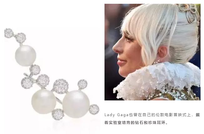 微信截圖_20191203102814.png
