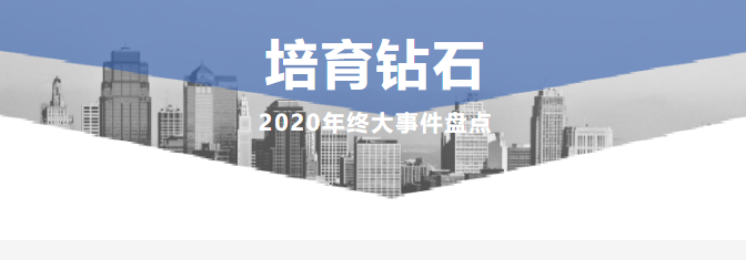盤點(diǎn)2020年培育鉆石大事件
