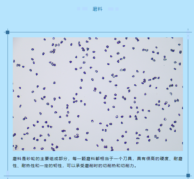 砂輪的特性主要由哪些因素決定的