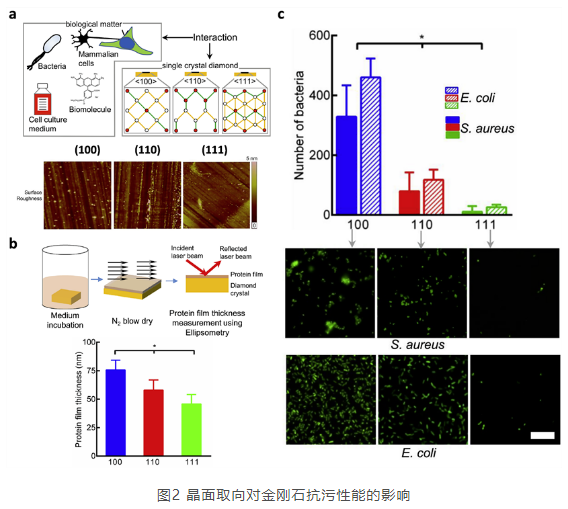 中南大學(xué)魏秋平團(tuán)隊(duì)綜述 金剛石抗污研究