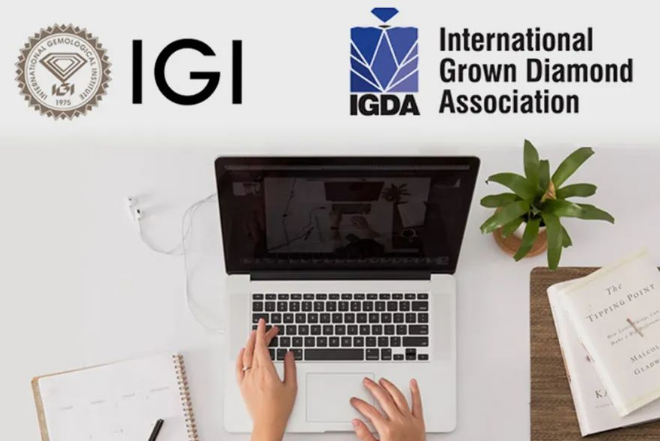 IGDA合作IGI為成員提供培育鉆石課程學習
