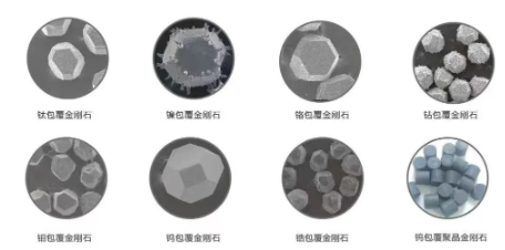 微信截圖_20230515093958.png