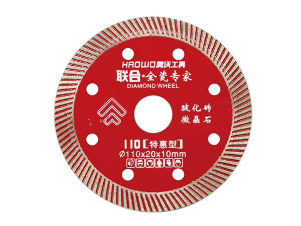110昊沃聯(lián)合銳獅全瓷專家.jpg