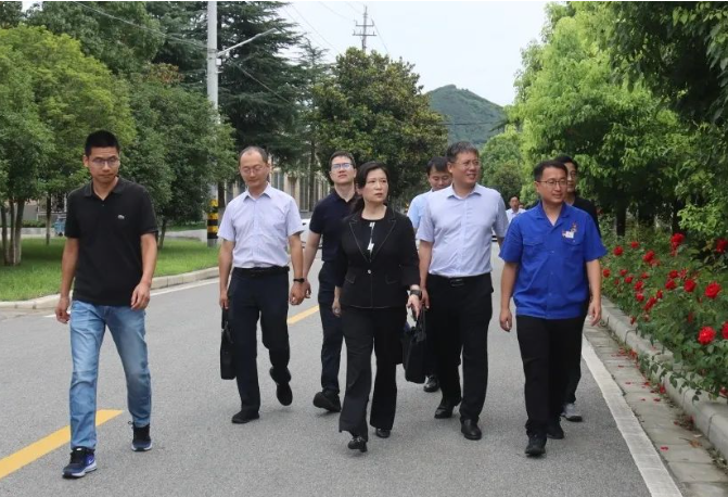 河南省科技廳黨組成員、副廳長陶曼晞一行調(diào)研中南鉆石