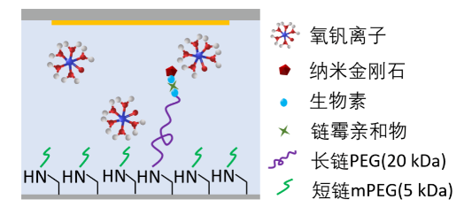 納米金剛石量子傳感技術(shù)實現(xiàn)原位溶液磁共振譜測量