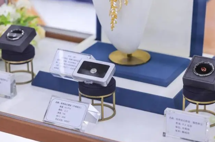 河南培育鉆石組團(tuán)加盟南京車展，誓做“下一個(gè)新能源車”