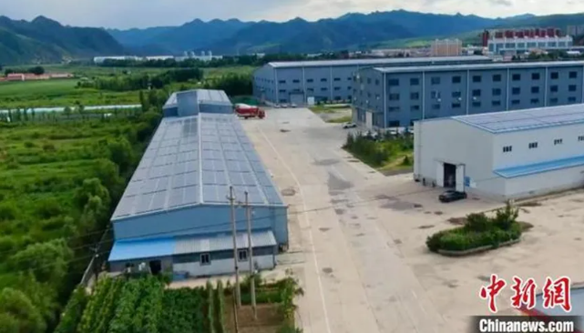 中國首家用“綠電”種“綠鉆”的人造鉆石培育公司落地承德圍場